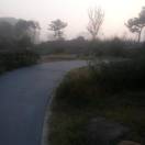 李杰智