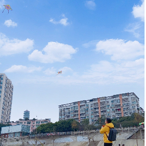 风月海棠