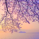 电信装维--常青松