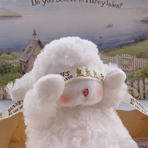 云端上的十七❥