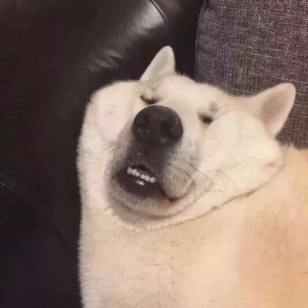 青椒豆腐乳西瓜