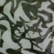 墨染流年，洗尽铅华