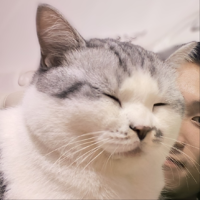 殷一强