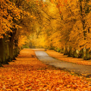 13686301556手机用户