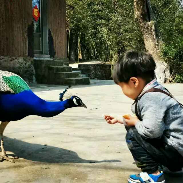 丁舒