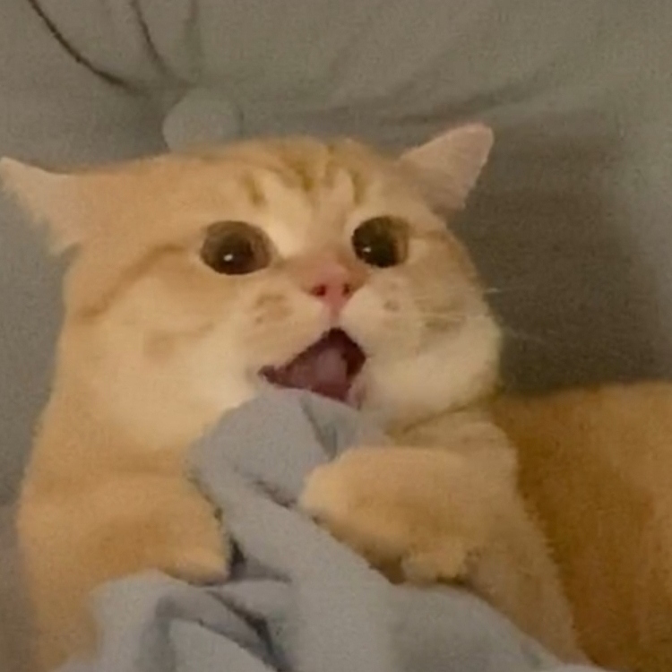 刘万三