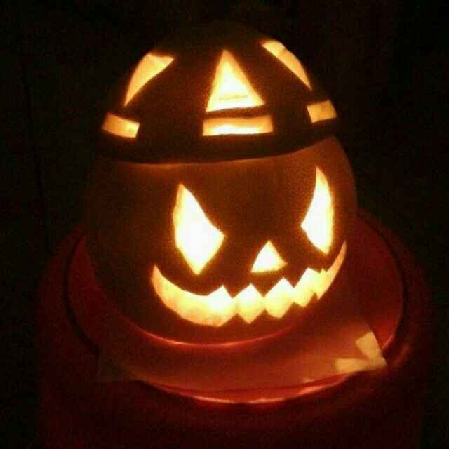 红鱼，鲨鱼，鲸鱼，文昌鱼