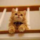 ﹏﹏○●○—⊙~