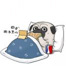 양 호 우
