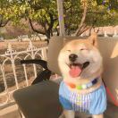 张国彬•﹏•bay'