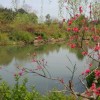 冲浪高手嘎嘎嘎
