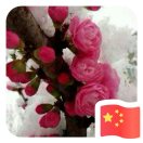 zw_shan
