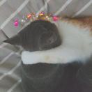 。。