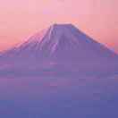 PurSun