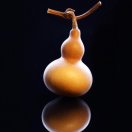 小蕃茄