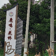 龙哥哥