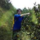 鲁纯红