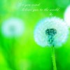 win