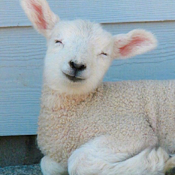 再见，再也不见