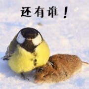 古语