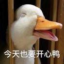 焓小胖
