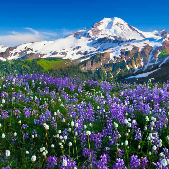 人生得意需尽欢