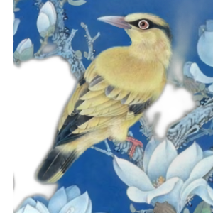 兴致唯在生莲邦