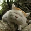 她说。か。。不好