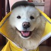 制表人：黎莉