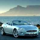 宇诚烘干耿瑛凯