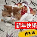 张泽鑫
