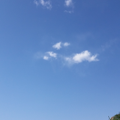 中忱