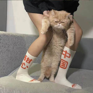  좋다기분이