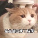 吴哈哈