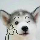 可乐