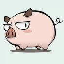 你就是一个 pig