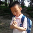 随风琦缘