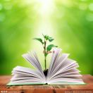 正善治，事善能