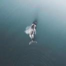 早睡早起，热爱生活。