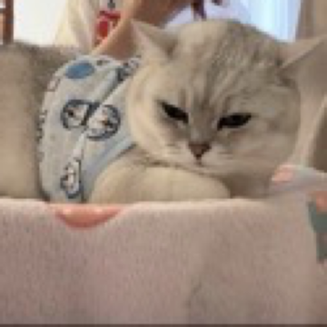 ℡__柚末。