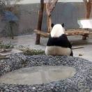 Nimbus