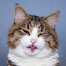 (๑•̀ㅂ•́)و✧ 自娱自乐