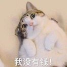 合肥跨境-吴世君