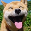 薇薇笑