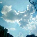 相约不见