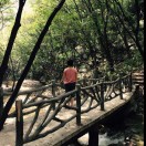 李淑芳