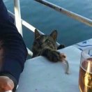 嗯知道了随便你看着办