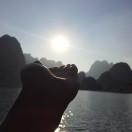 谢谢