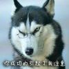 情商与体重代数和为零