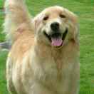 企业事务代理 刘生